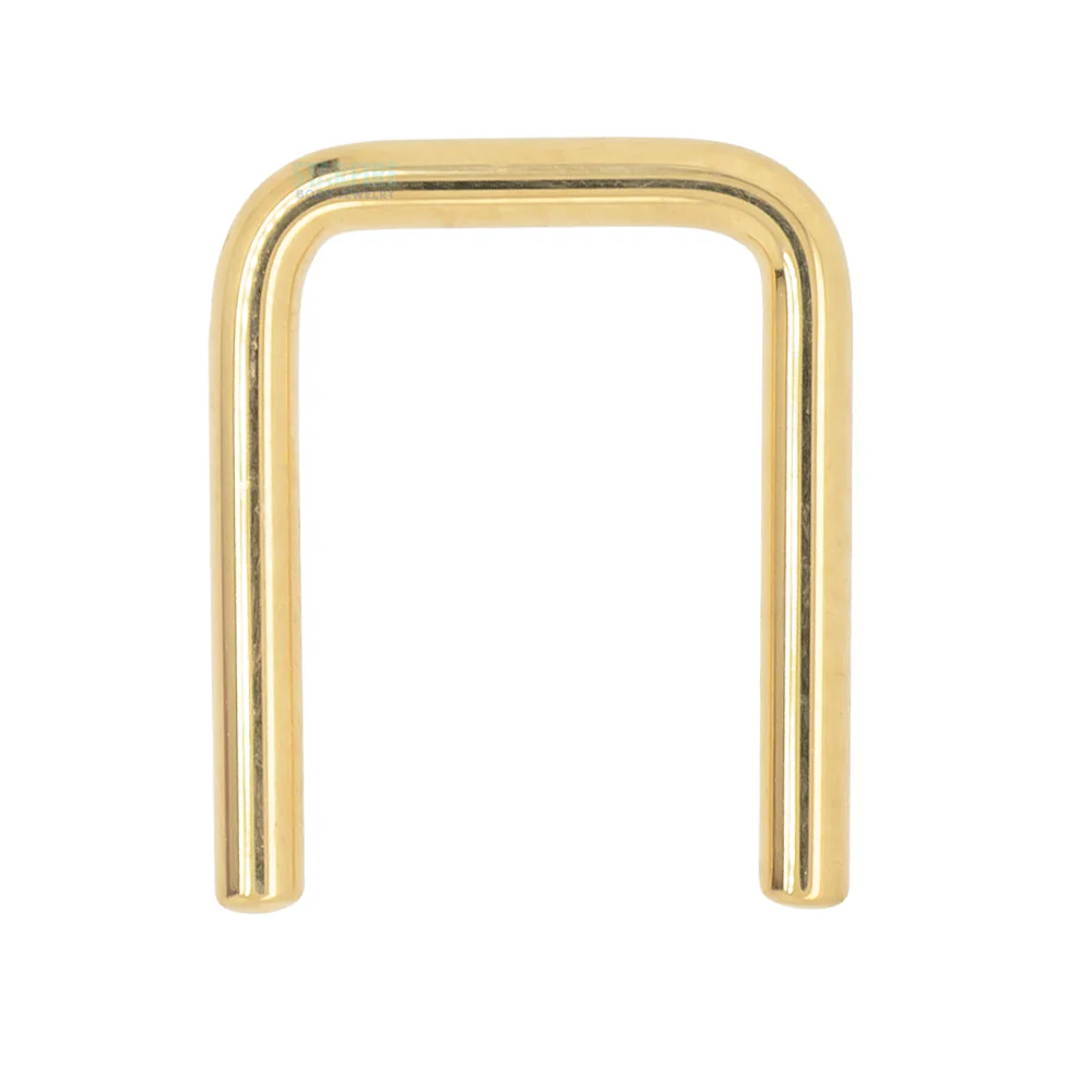 Gold Septum Retainer - Image 2