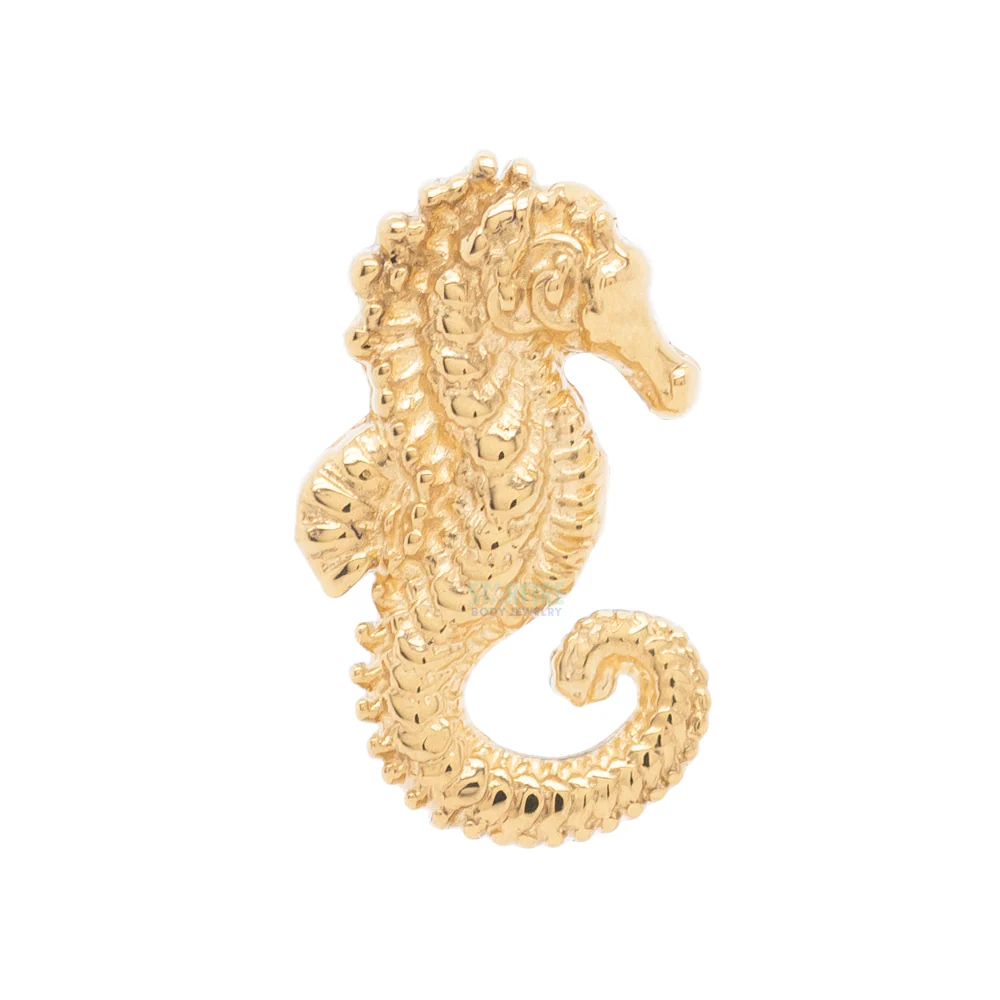 Seahorse Threaded End in Gold - Image 3