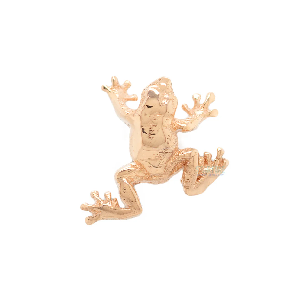Tree Frog Threaded End in Gold - Image 7