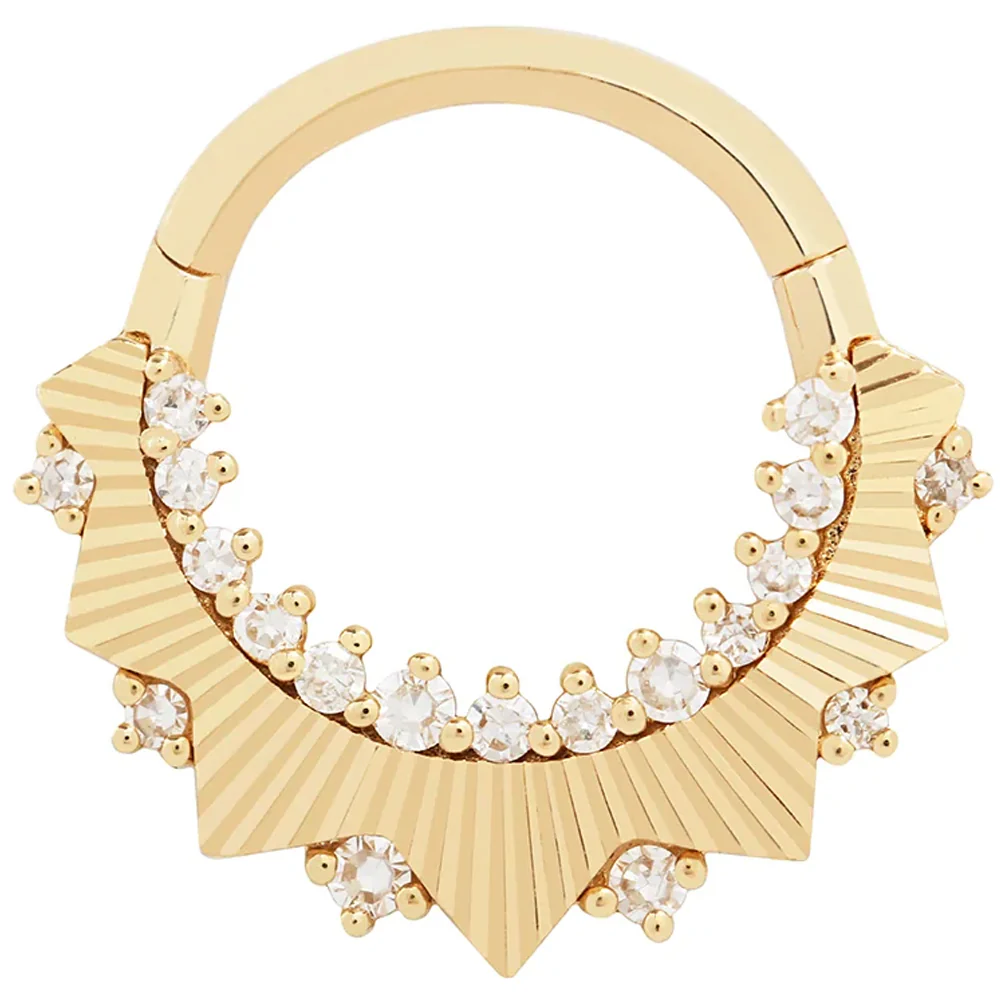"High Standards" Hinge Ring / Clicker in Gold with Diamonds - Image 2