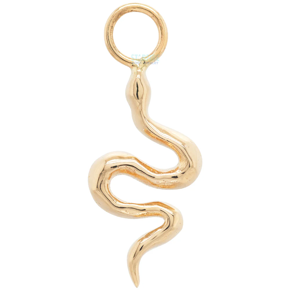 Serpent Charm in Gold - Image 2