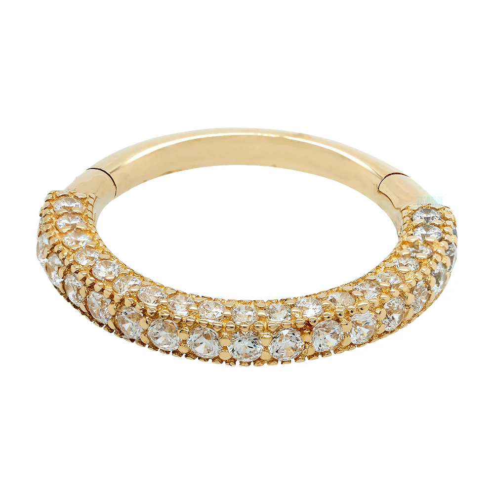 "Showcase" Hinge Ring / Clicker in Gold with CZ's - Image 3