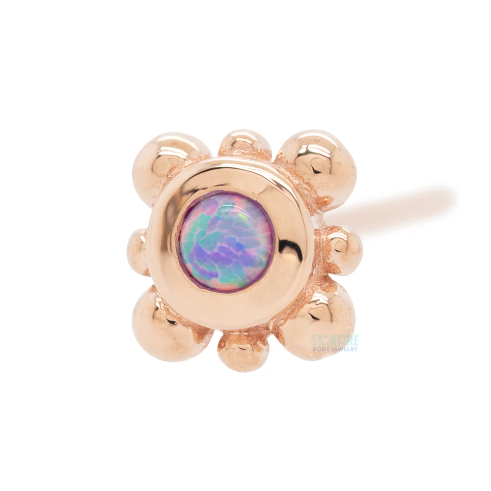 Bezel with 8 Beads Nostril Screw in Gold with Lavender Opal