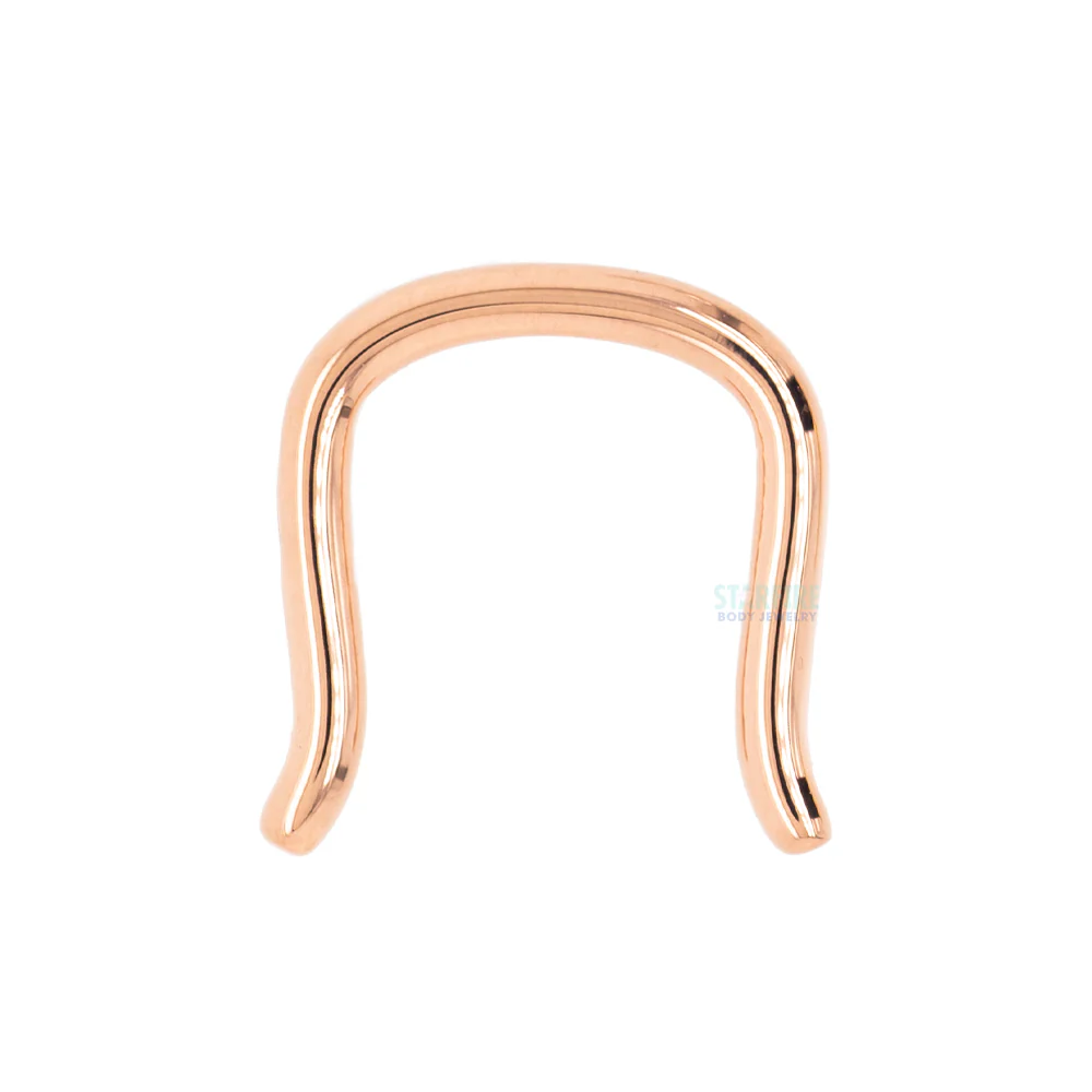 Gold & Platinum Septum Retainer - Image 4