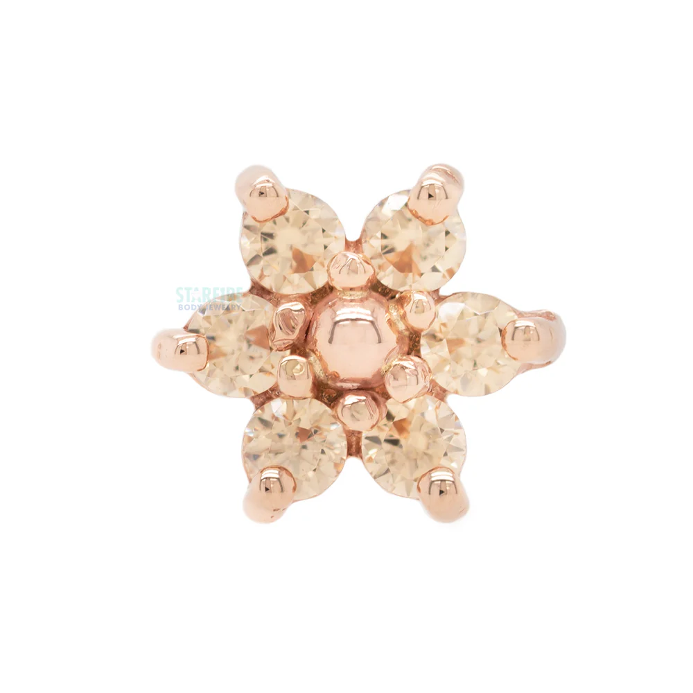 Flower #2 Nostril Screw in Gold with Champagne CZ's & a Gold Bead - Image 2