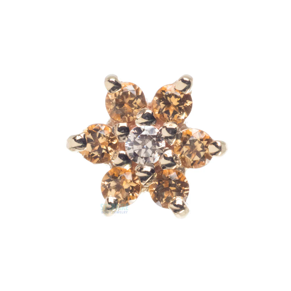 Flower #2 Nostril Screw in Gold with Honey Topaz' & Champagne CZ - Image 3