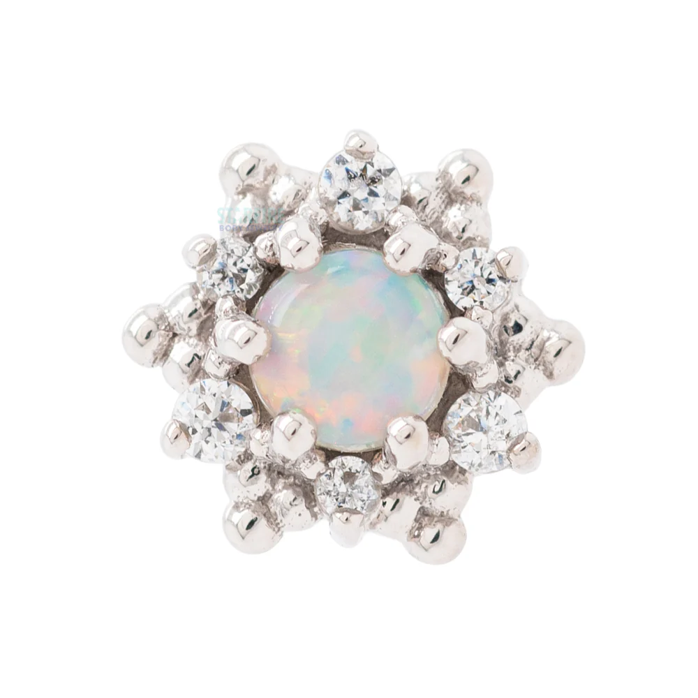 "Hannah" Nostril Screw in Gold with Genuine White Opal & White CZ's - Image 2
