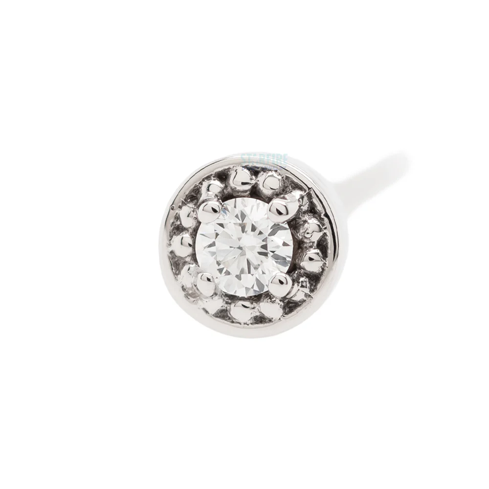 Milgrain Prong Nostril Screw in Gold with DIAMOND - Image 4
