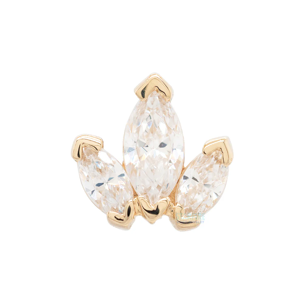 "Mini AJ" & "AJ" Threaded End in Gold with White CZ's - Image 3