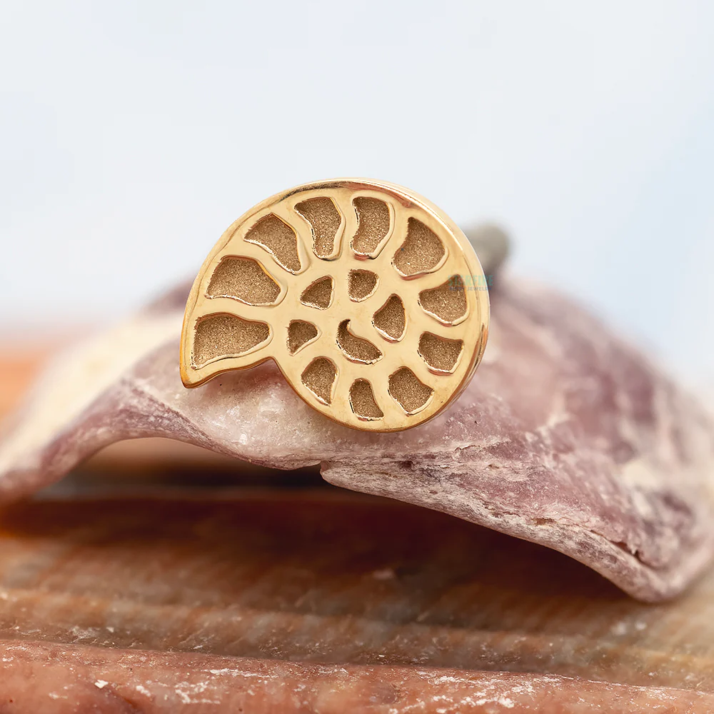 Nautilus Threaded End in Gold - Image 2