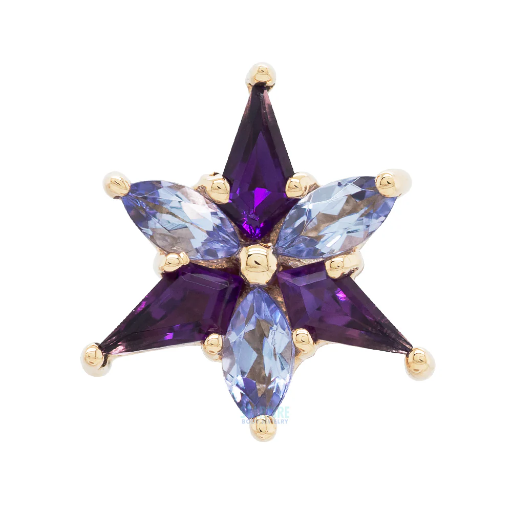 "Stargazer" Threaded End in Gold with Amethyst & Tanzanite