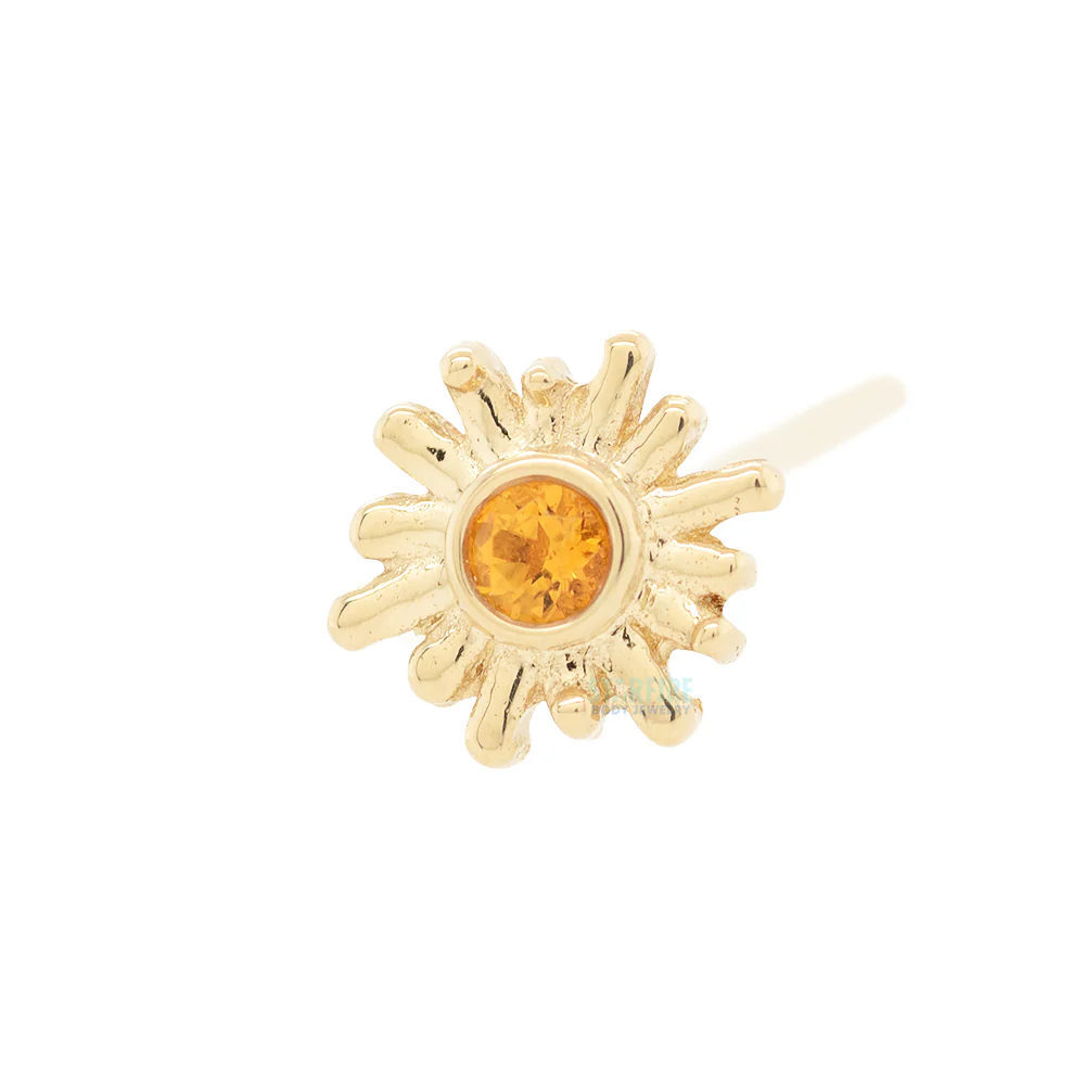 "Sunray" Nostril Screw in Gold with Citrine