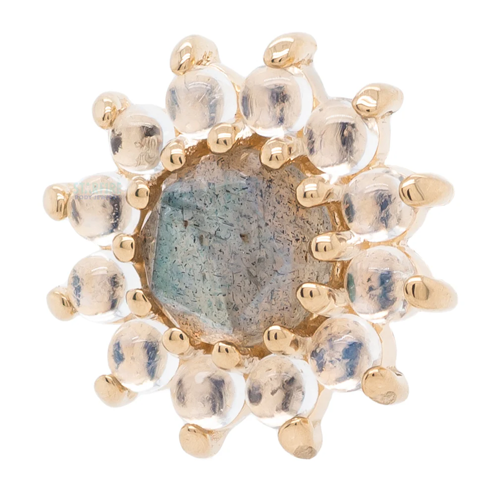 "The Rose" Threaded End in Gold with Rose Cut Labradorite center & Rainbow Moonstone Cabochon petals