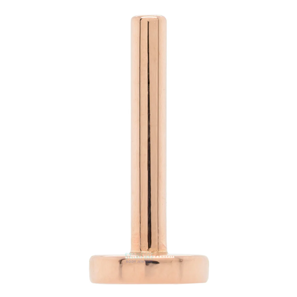 threadless: Gold Flatback / Labret Post / Straight Barbell End with Fixed Disc - Additional Sizing - Image 6