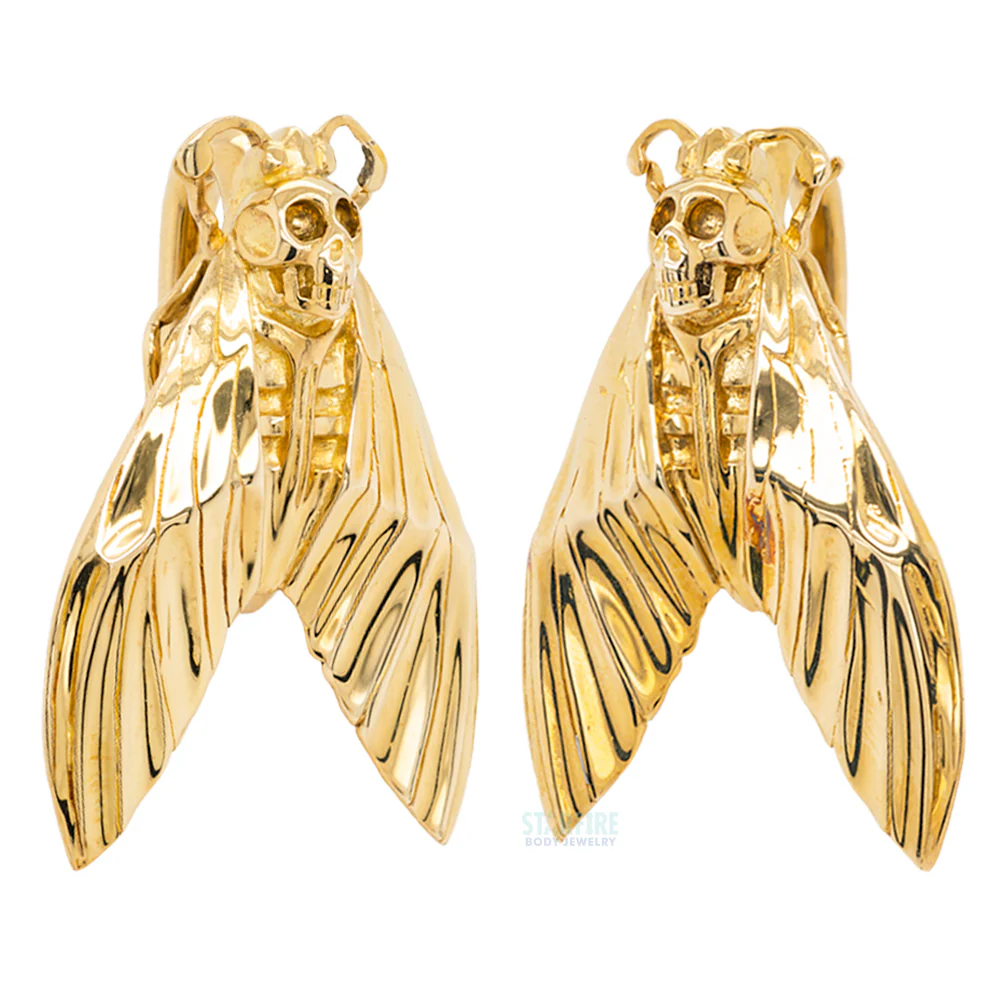 "Death's Head Moth" Weights - Image 2