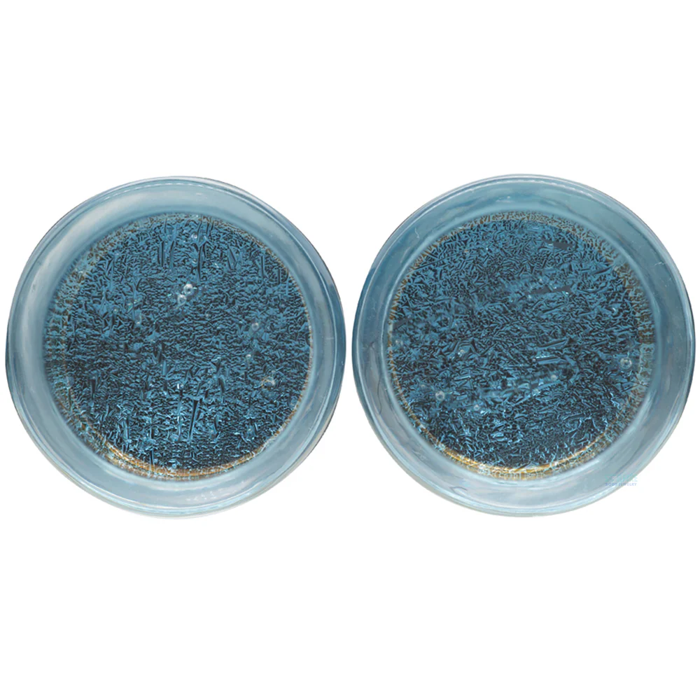 Deluxe Dichroic Glass Plugs - Indigo Silver - Image 4