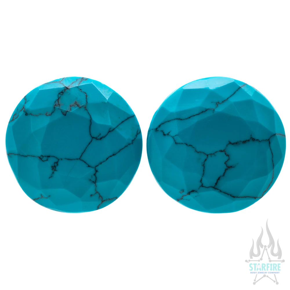 Faceted Stone Plugs - Image 6