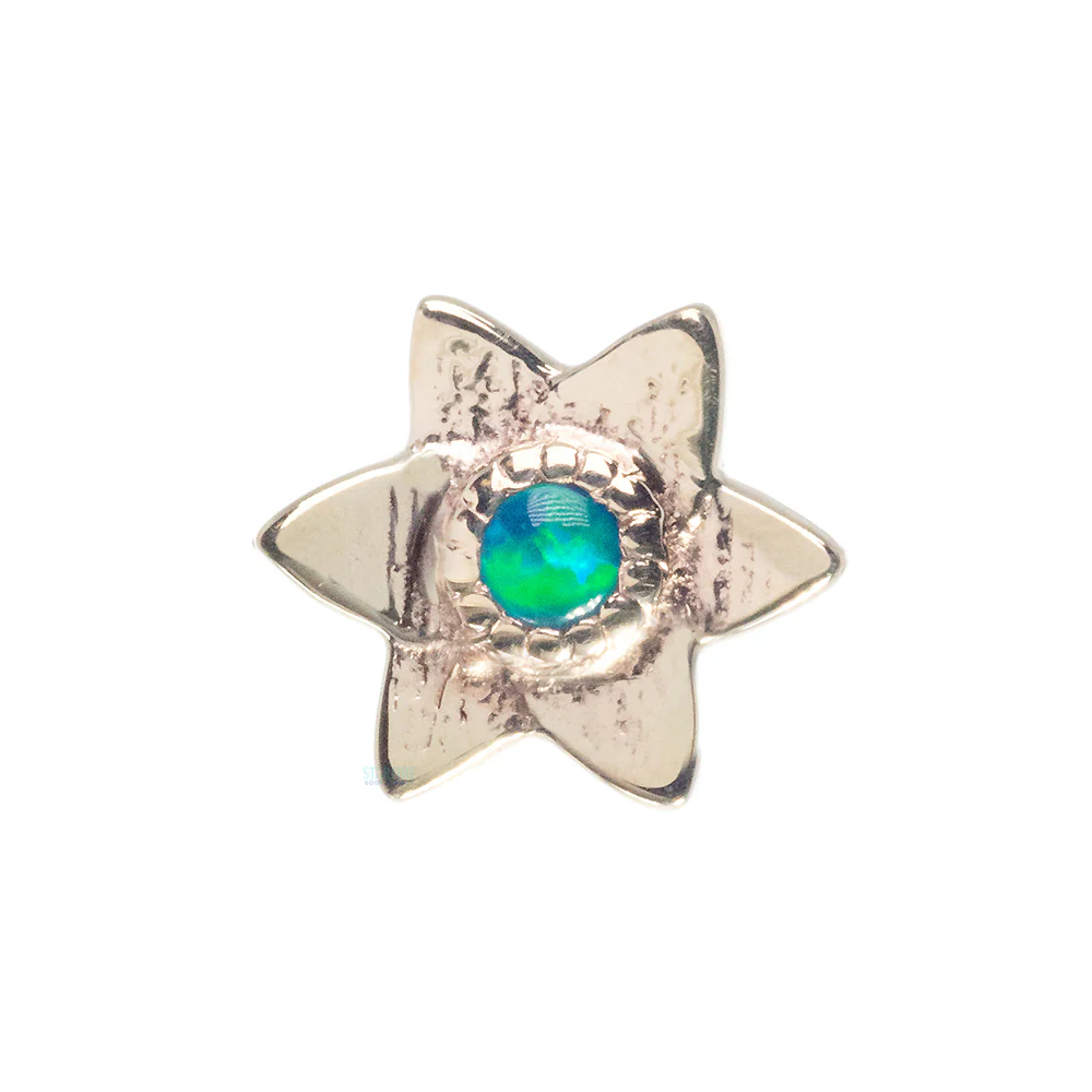 Flat Lotus with Bezel Nostril Screw in Gold with Dark Blue Opal - Image 2