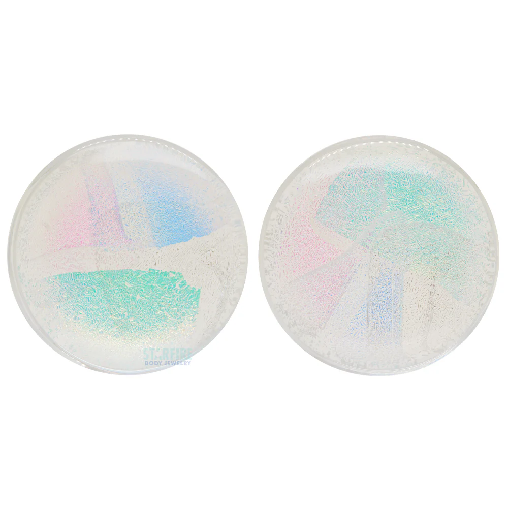 'Hagakure' Glass Plugs - Image 4