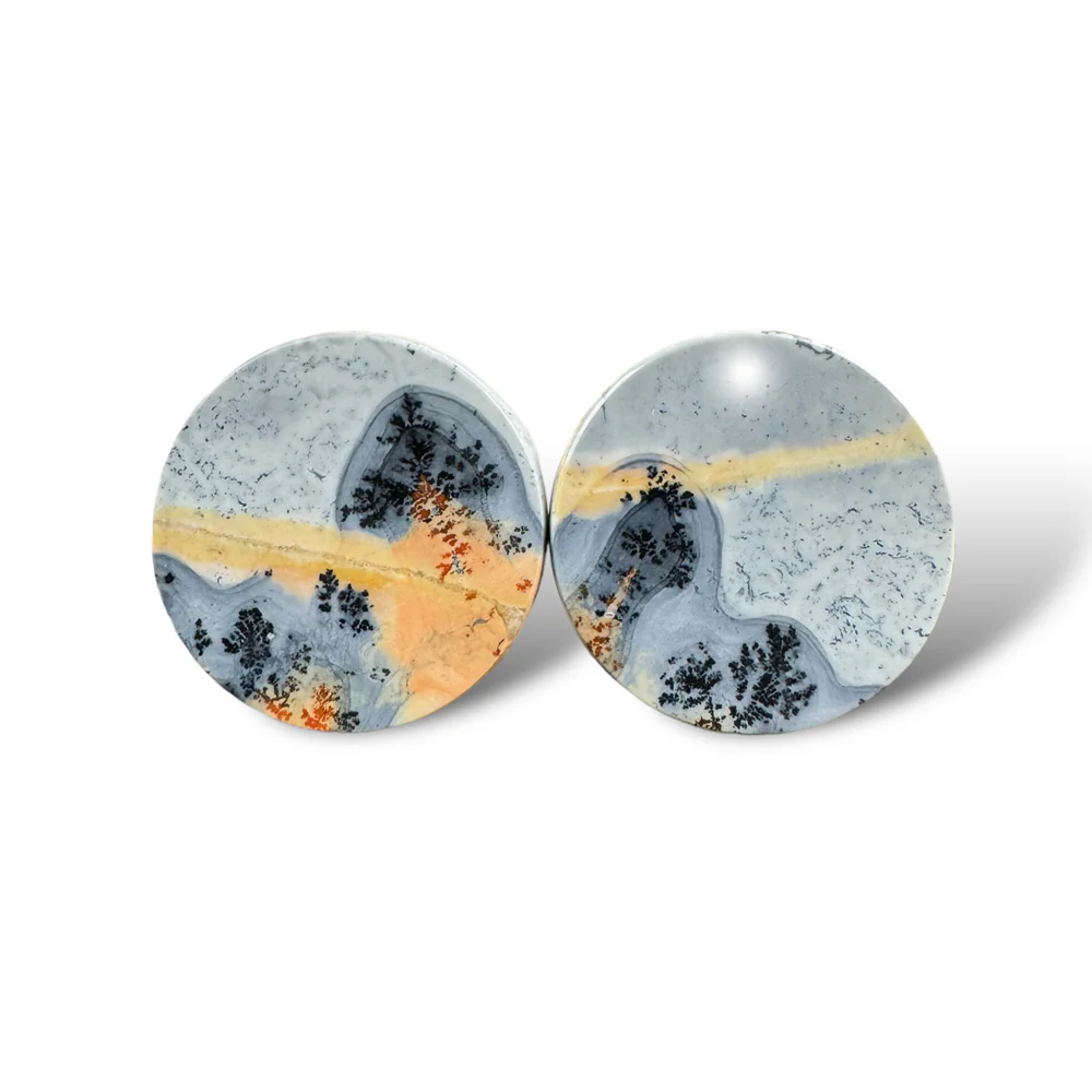 Stone Plugs - Dendritic Maligano Jasper - Image 4