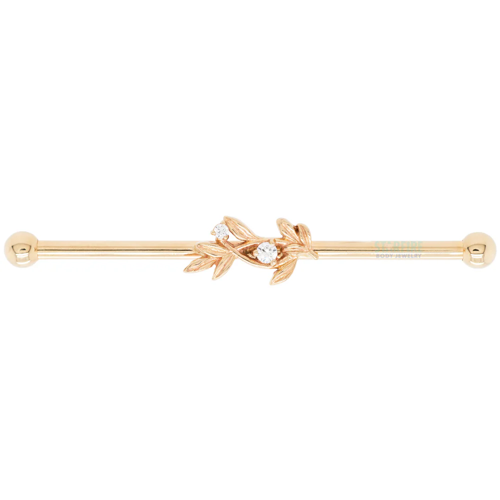 "Jessamine" Industrial Barbell in Gold with White CZ's - Image 5