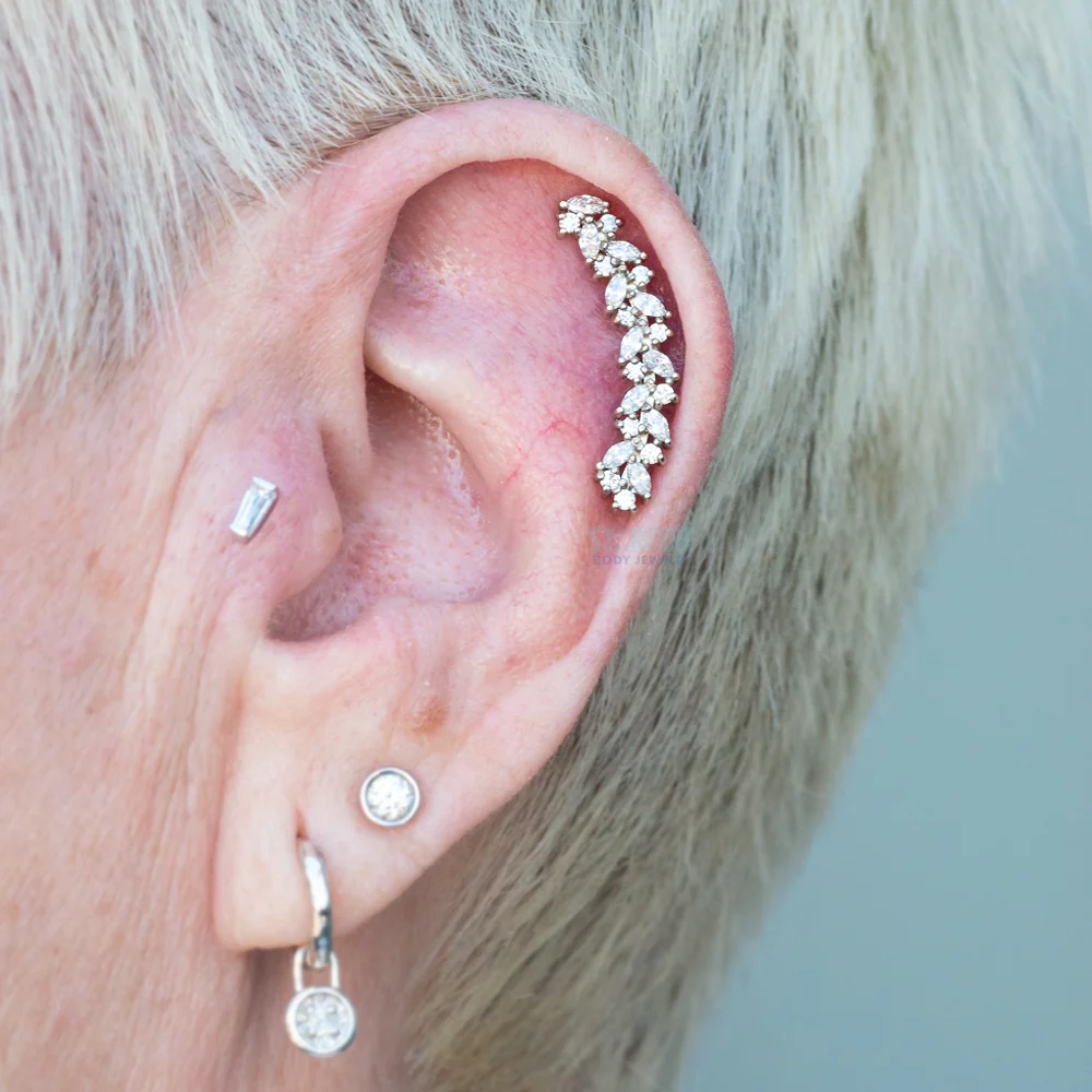 "Ivy Arc" Threaded End in Gold & Platinum with CZ - Image 3