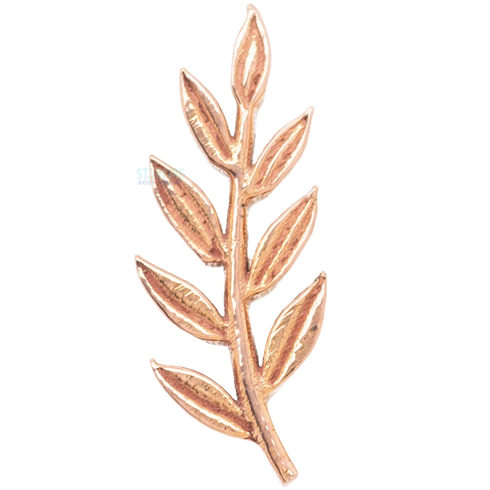 threadless: "Athena" Olive Branch End in Gold & Platinum - Image 4
