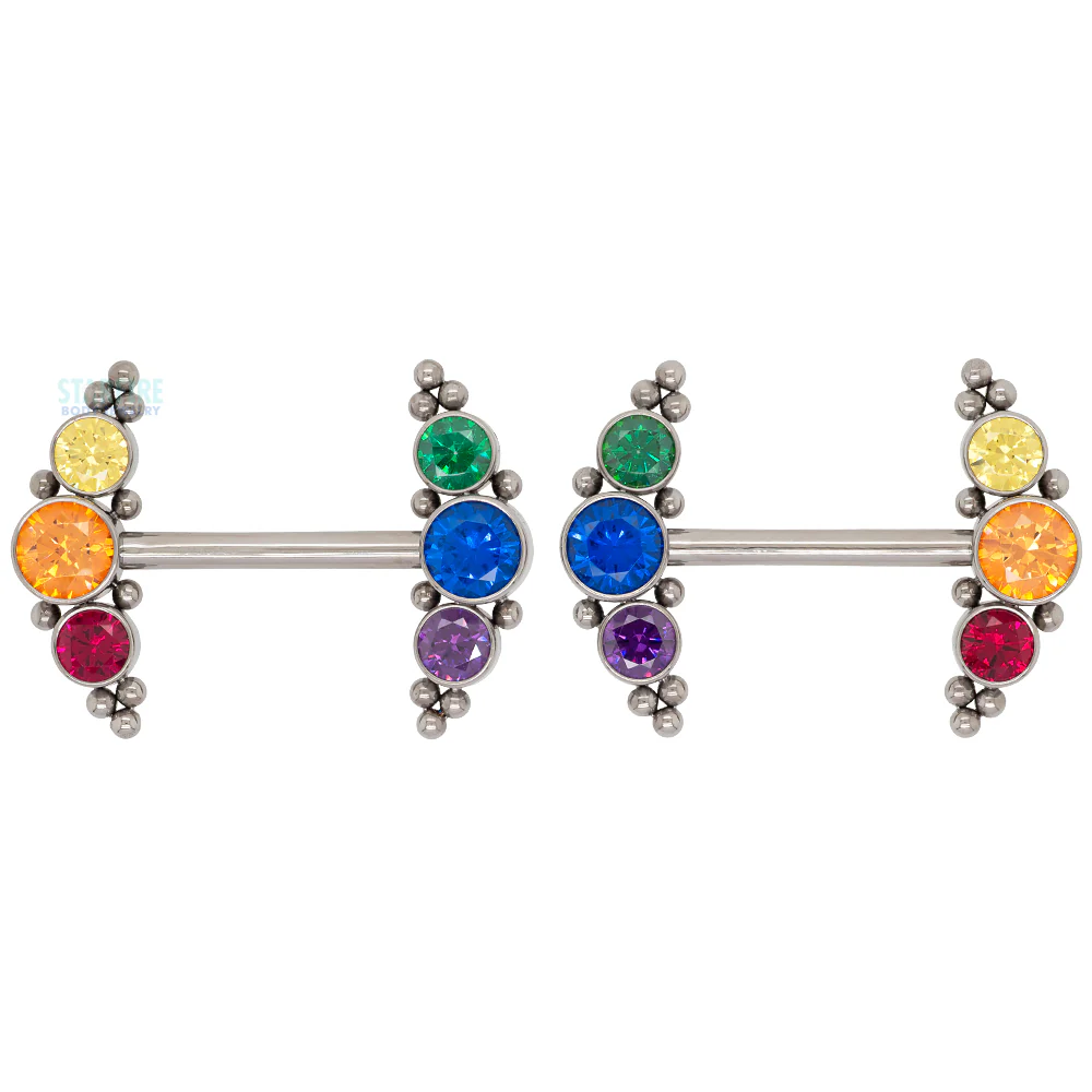 HC11T-20 'Haute Couture' Side Set Rainbow Faceted Gem Nipple Barbells - pair - Image 3