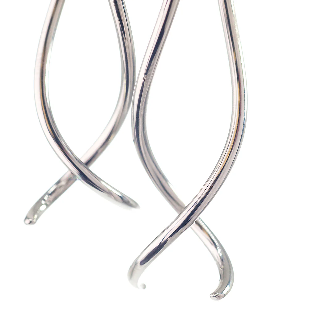Squid - Image 3