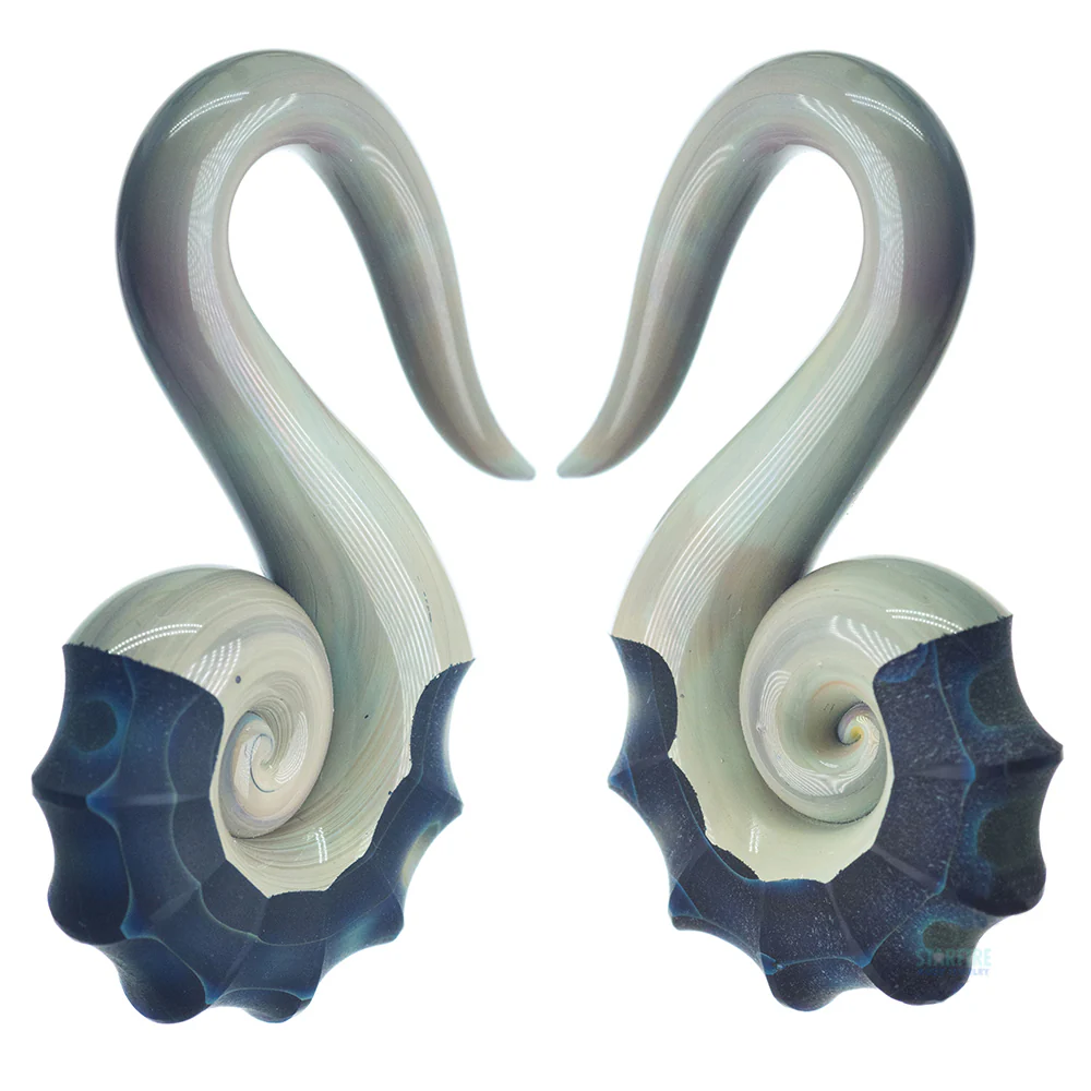 Glass Nautilus - Image 5