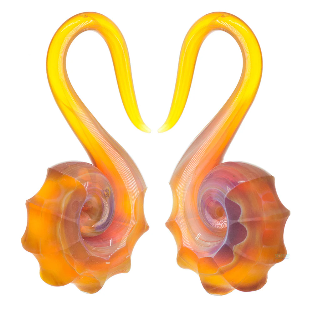 Glass Nautilus - Image 6