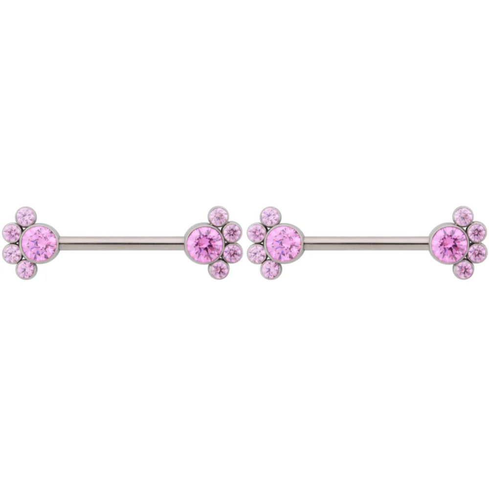 NB8T 'Bijoux' Faceted Gems Side-Set Nipple Barbells 5/8" (longer) - Image 4