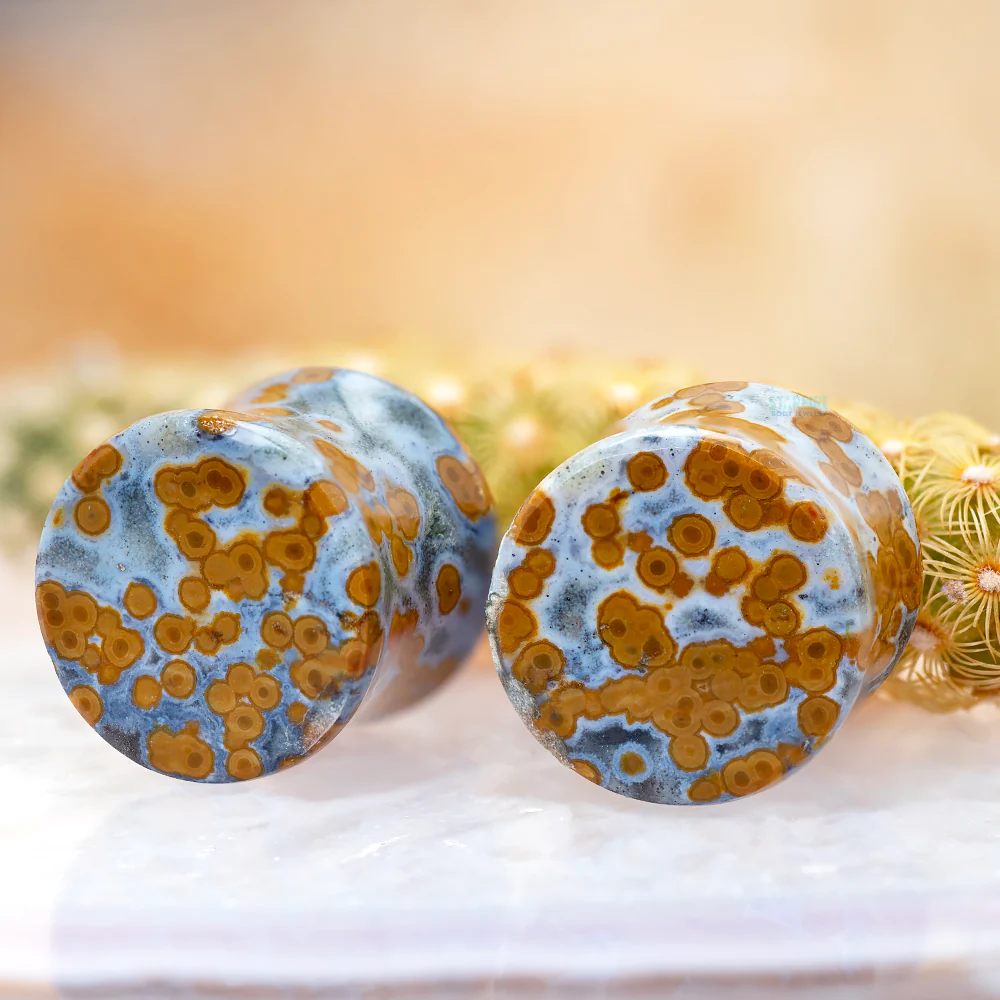 Stone Plugs - Ocean Jasper - Image 2