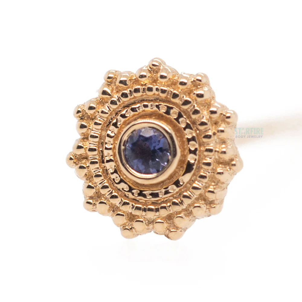 Round Afghan Nostril Screw in Gold with Iolite