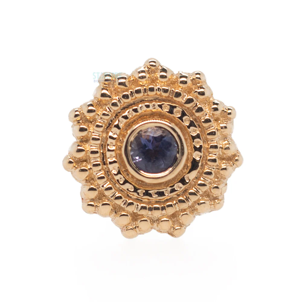 Round Afghan Nostril Screw in Gold with Iolite - Image 3