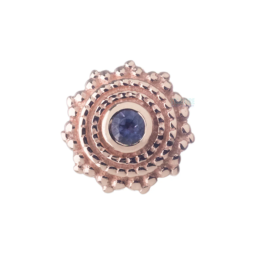Round Afghan Nostril Screw in Gold with Iolite - Image 4