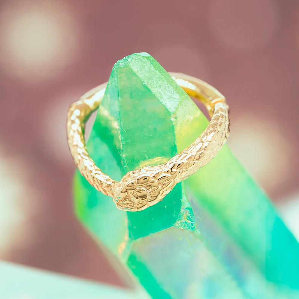 "Ouroboros" Hinge Ring / Clicker in Gold - Image 2